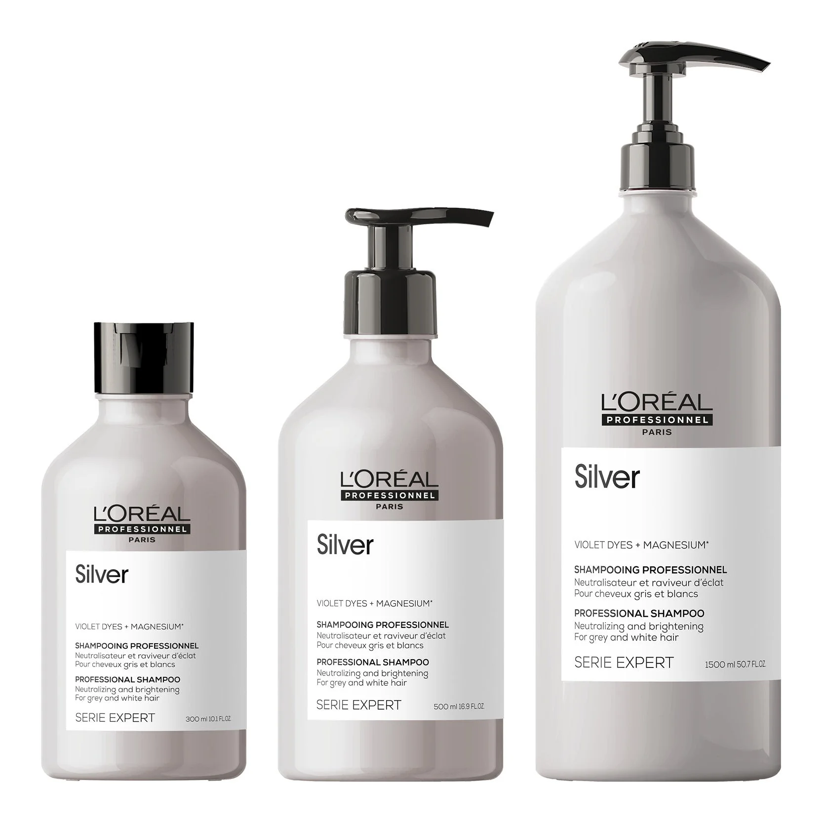 Loreal SE Silver Shampoo